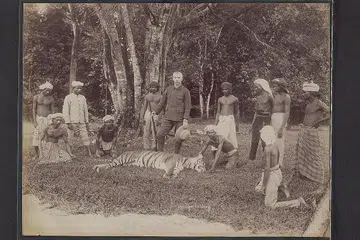 MEMBURU HARIMAU DI SINGAPURA: Secara keseluruhan, harimau-harimau liar dibunuh atau diperangkap untuk dijadikan pameran. Malangnya, pemburuan ini mendatangkan "hasil". Pada 1932, harimau Malaya liar yang terakhir di Singapura dibunuh. - Foto NHB