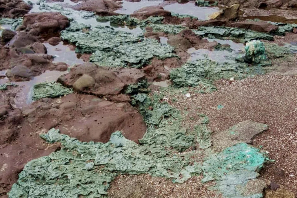 Inilah rupa ‘batu plastik’ yang ditemui di Pulau Trindade berhampiran pantai Brazil.