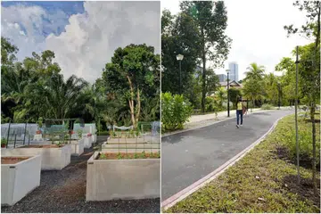 Foto NPARKS