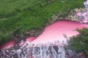 Keadaan aliran di Sungai Kabul, dekat Shah Alam, Selangor, yang berubah warna merah jambu selepas dicemari sisa buangan cecair daripada sebuah kilang kitar semula pada 15 Januari.