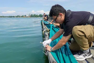 Agensi Makanan Singapura (SFA) memberi bantuan kepada penternak ikan di ladang ternakan ikan setempat, termasuk menyediakan helaian kanvas untuk melindungi ternakan. 