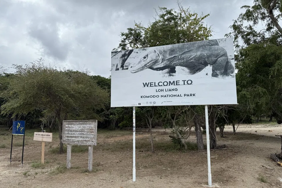 Penulis berpeluang mengunjungi Taman Negara Komodo, yang telah diiktiraf sebagai Tapak Warisan Dunia Pertubuhan Pendidikan, Sains dan Kebudayaan Pertubuhan Bangsa-Bangsa Bersatu (Unesco) pada 1991.