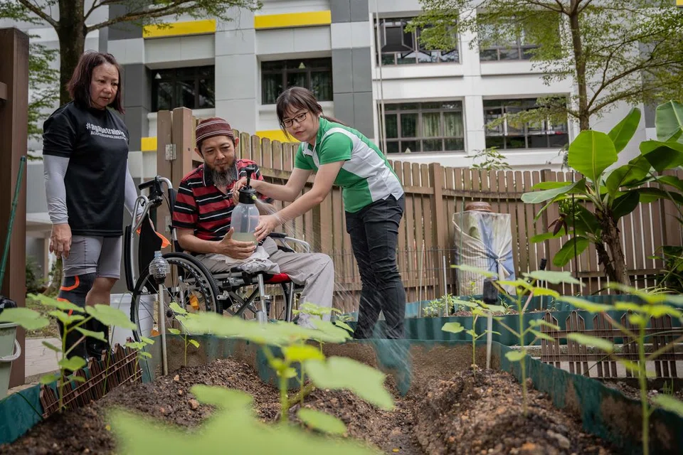(Dari kiri) Pemimpin akar umbi bagi Admiralty Zone 4, Cik Stephanie Lim, Encik Shariff Hamde dan ahli terapi pekerjaan kanan daripada Hospital Ren Ci, Cik Priscilla Chng, bertemu sekali setiap minggu untuk berkebun di Woodlands Drive 16.