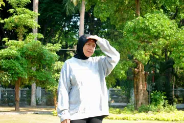 strok haba