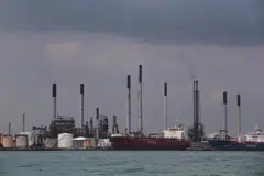 Seorang pakar berpendapat bahawa hasil cukai karbon jauh lebih rendah daripada jangkaan kemungkinan disebabkan oleh elaun yang diberikan kepada syarikat pengeluar karbon untuk membantu mereka kekal berdaya saing.