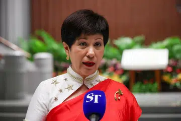 Ketua Dewan, Kes bohong Jawatankuasa Parlimen, Pritam,