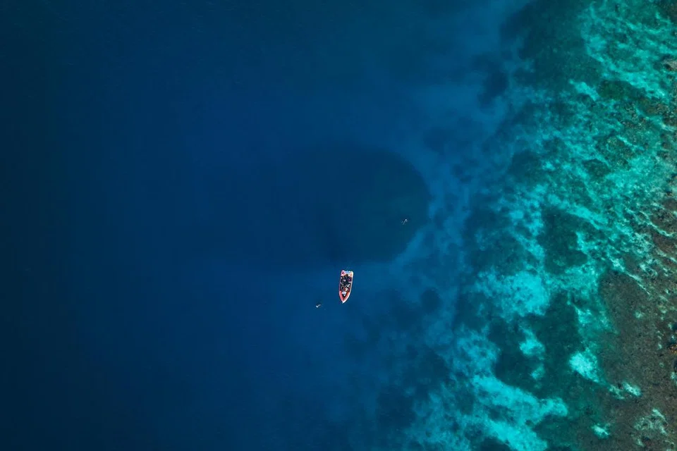 Dari udara, batu karang itu kelihatan seperti sebuah bongkah batu yang terletak di bawah permukaan laut.