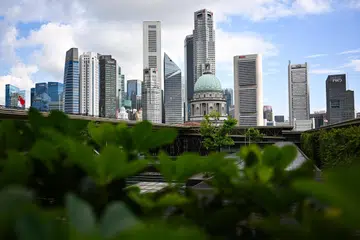 Singapura, bon hijau, Laluan Daerah Jurong, Laluan Rentas Pulau