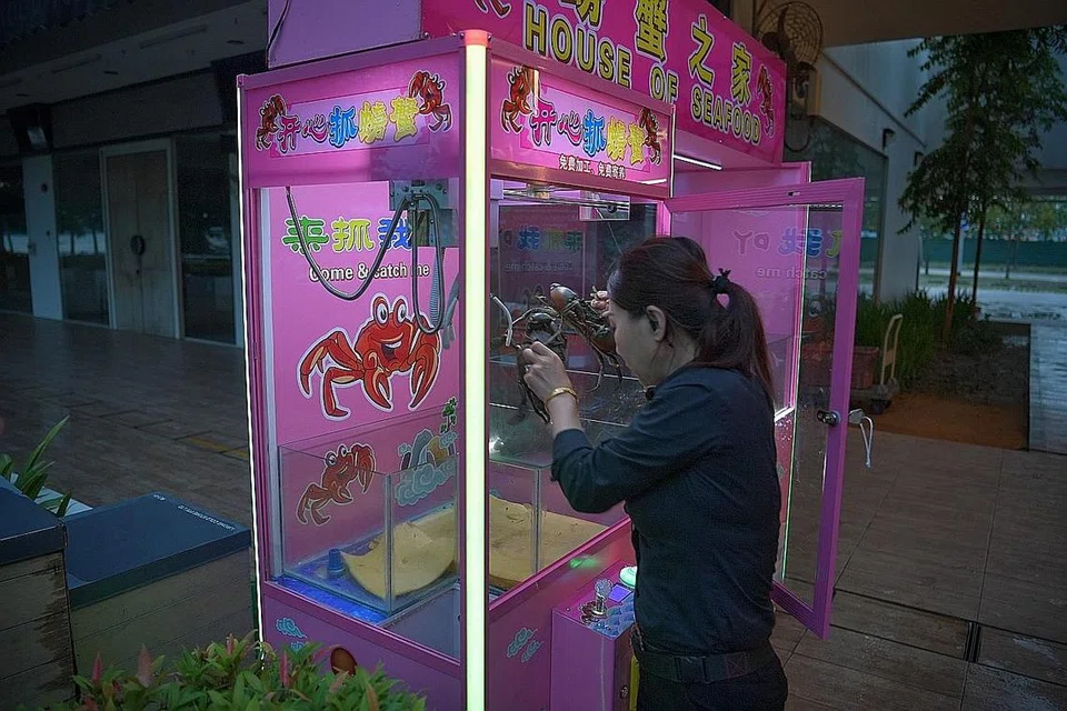 TIDAK BERPERIKEMANUSIAAN: Permainan mesin penyepit atau 'claw machine' yang diperkenalkan restoran House of Seafood di Punggol mendapat kritikan ramai. - Foto BH oleh ARIFFIN JAMAR