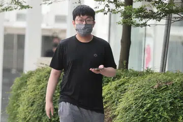 Gan Qi Xuan, child pornography