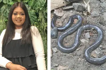 TARIK PERHATIAN: Laporan Erynn Eriynee dan kemunculan seekor ular dikongsi ramai pengguna Facebook. - Foto-foto DR JOHN VAN WYHE, fail