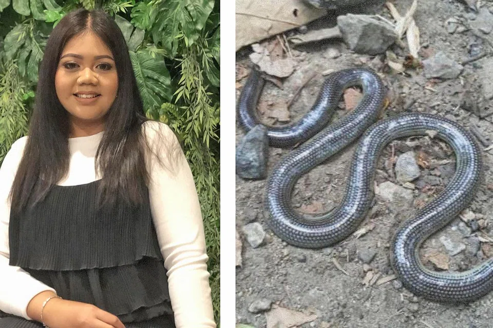TARIK PERHATIAN: Laporan Erynn Eriynee dan kemunculan seekor ular dikongsi ramai pengguna Facebook. - Foto-foto DR JOHN VAN WYHE, fail