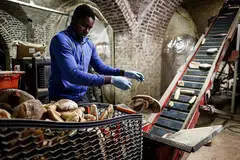 DIKITAR SEMULA: Pekerja firma Eclo di Brussels, Belgium ini, membuang sisa roti ke dalam mesin untuk menghasilkan substrat bagi tanaman cendawan organik. - Foto AFP