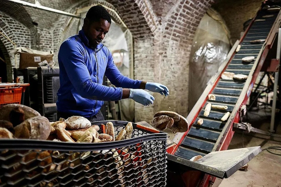 DIKITAR SEMULA: Pekerja firma Eclo di Brussels, Belgium ini, membuang sisa roti ke dalam mesin untuk menghasilkan substrat bagi tanaman cendawan organik. - Foto AFP