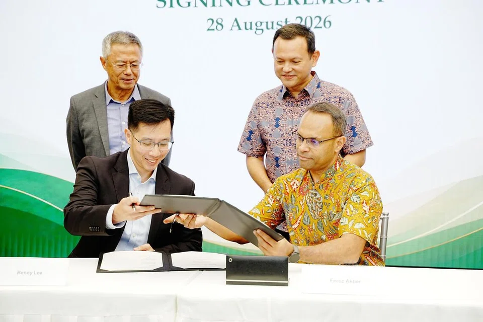 Zaqy, Mendaki, Yayasan Tanoto 