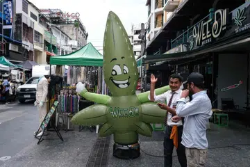 Kedai ubat hanya dibenarkan menjual ganja kepada mereka yang mempunyai lesen atau preskripsi daripada pakar perubatan.