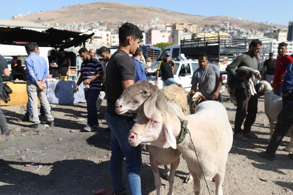 Penduduk tempatan berkunjung ke pasar yang menjual haiwan hidup menjelang Aidiladha di Nablus di Tebing Barat, Palestin, pada 5 Jun. 