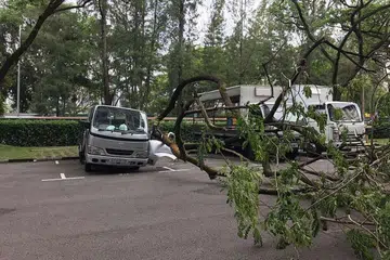 Pokok tumbang di tempat letak kereta sebuah blok apartmen pelajar, mencederakan seorang wanita yang melawat seorang penyewa di situ. 