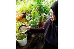 PANTAU SENTIASA: Cik Kamisah sentiasa memantau pasu-pasu bunganya bagi memastikan tiada tiada takungan air. - Foto ihsan KAMISAH KASSIM