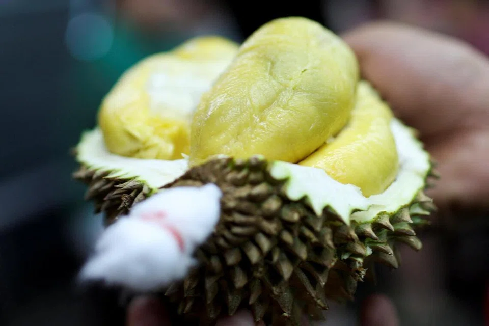 lambakan durian, jun dan julai, harga naik, jualan merosot, krisis diesel