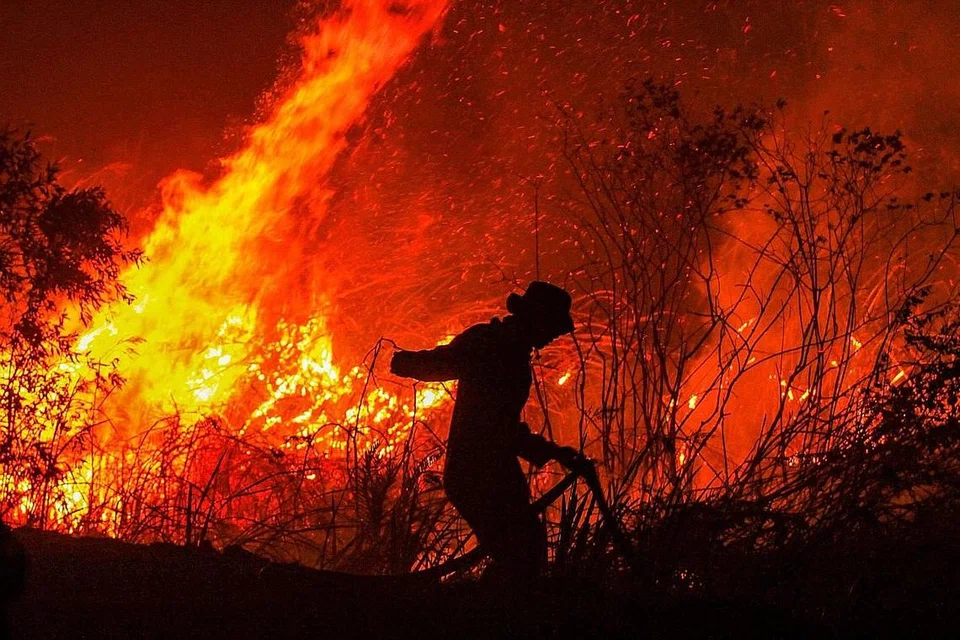 BERUSAHA PADAM API: Gambar fail menunjukkan seorang anggota bomba berusaha memadamkan api dalam satu kebakaran hutan di Kampung Rambutan Di Ogan Ilir di Sumatera Selatan September lalu. - Foto AFP