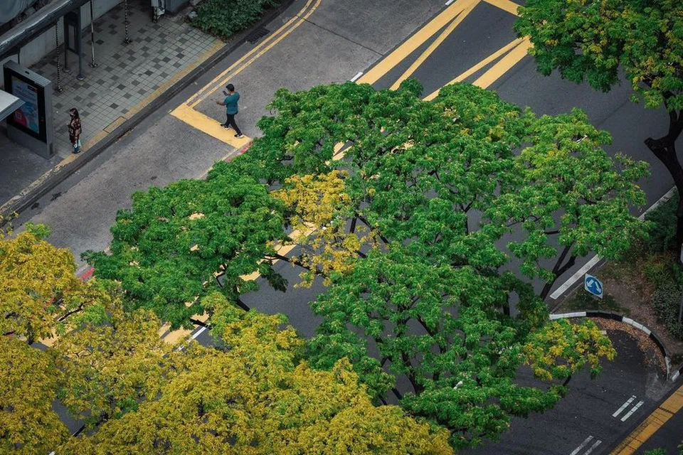 hijau, pembiayaan, Asia Tenggara, projek