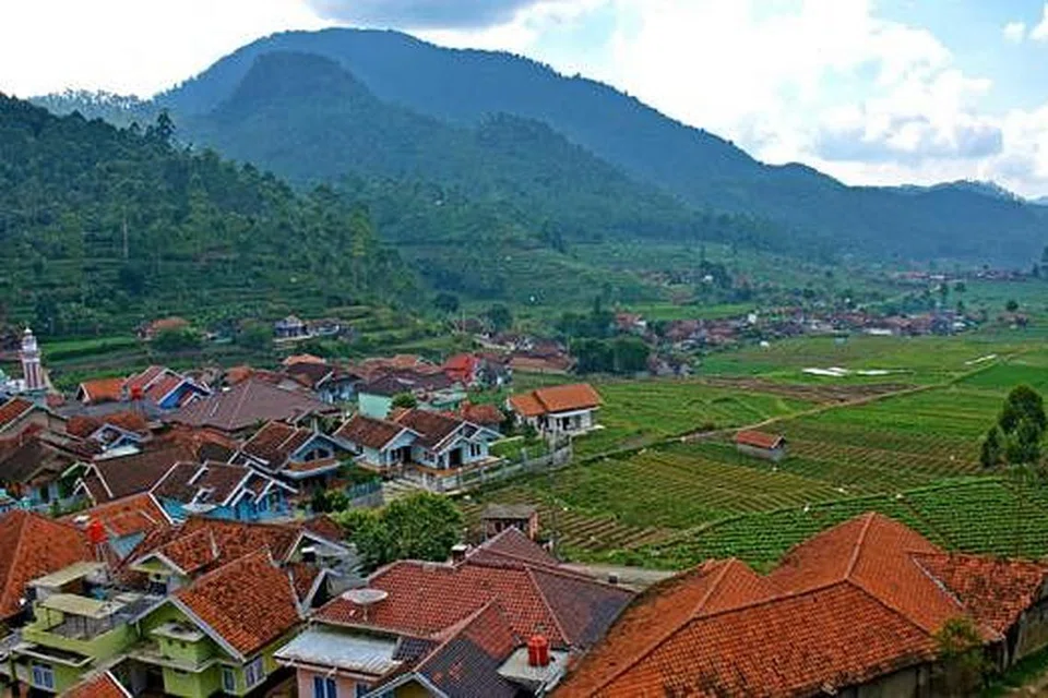 SEJUK MATA MEMANDANG: Ladang teh dan rumah-rumah kampung di luar kota Bandung. - Foto-foto ZAKI ZULFAKAR NOORDIN 