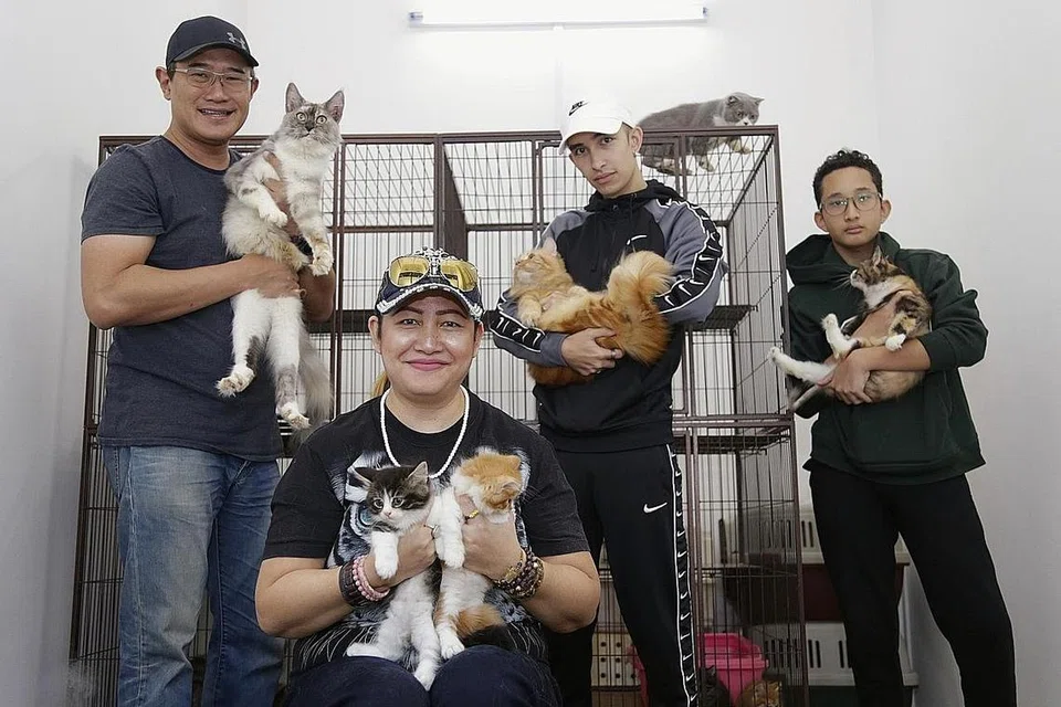 PENGGEMAR KUCING: Cik Erawaty Bernama menceritakan dalam satu episod podcast #NoTapis bahawa beliau menjaga sehingga lapan ekor kucing. Bersamanya ialah keluarga beliau yang juga pencinta kucing - (dari kiri) suami, Encik Wah Rahmat, dan dua anak lelakinya, Encik Mikail Joye, dan Encik Wan Rafael. - Foto BH oleh AZMI ATHNI dan SITI AISYAH NORDIN