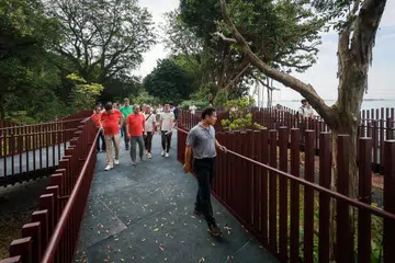 Menteri Pembangunan Negara, Encik Desmond Lee, menikmati pemandangan dari pelantar laluan atau ‘boardwalk’ di Keppel Coastal Trail di Taman Labrador yang rasmi dibuka pada 25 Januari.