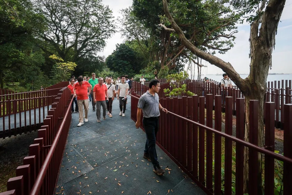 Menteri Pembangunan Negara, Encik Desmond Lee, menikmati pemandangan dari pelantar laluan atau ‘boardwalk’ di Keppel Coastal Trail di Taman Labrador yang rasmi dibuka pada 25 Januari.