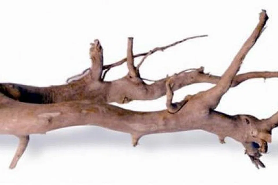 db83c86e-7854-462d-82a8-dcab3a9aa8ff