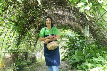SAYUR-SAYURAN DAN BUAH TROPIKA DI LADANG: Cik Zubaidah di sekitar kawasan ladang Bollywood Veggies. Beliau menggunakan bunga telang yang dipetik di ladang itu untuk menyediakan nasi lemak khas di restoran Poison Ivy di situ. - Foto-foto JOHARI RAHMAT