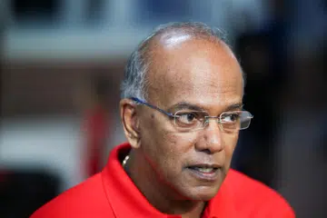 Warganegara asing semakin menyasarkan rakyat Singapura dengan pelbagai modus operandi, menurut Menteri Ehwal Dalam Negeri merangkap Undang-Undang, Encik K. Shanmugam, susuli bilangan kes pecah masuk rumah di kawasan rumah privet yang meningkat baru-baru ini dan  melibatkan suspek warganegara China.