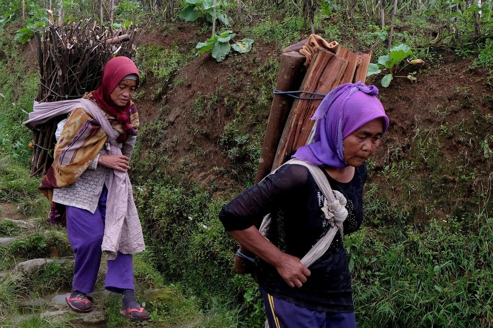 Penduduk kampung memikul kayu-kayu yang di ambil di hutan berdekatan.