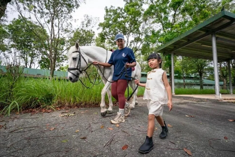 Zaelyn Ting membantu eksekutif acara Bukit Timah Saddle Club, Cik Pavethra Maya, untuk memimpin Molly ke lokasi seterusnya semasa sesi fotografi pada 18 Februari.