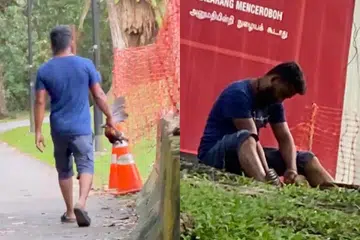 Lembaga Taman Negara (NParks) sedang menyiasat laporan menyusuli hantaran Facebook pada 17 Februari oleh Encik Joel Lee, menyatakan seorang lelaki yang disyaki mengambil dan membunuh ayam liar dari Taman Pasir Ris.
