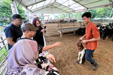 Johor, warga Singapura, korban, kos