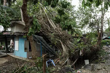 Sebuah pokok tumbang menghempap sebuah rumah selepas hujan lebat dan angin kencang pada Jumaat, 4 Oktober 2025 di Bangkok, Thailand.