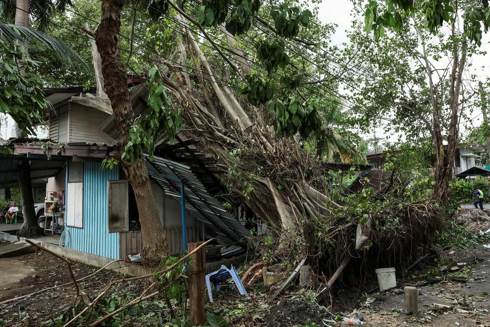 Sebuah pokok tumbang menghempap sebuah rumah selepas hujan lebat dan angin kencang pada Jumaat, 4 Oktober 2025 di Bangkok, Thailand.