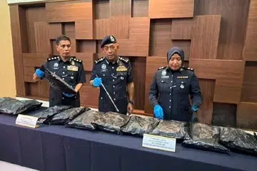 Malaysia, bunga ganja, Kedah, polis, Baderulhisham Baharudin
