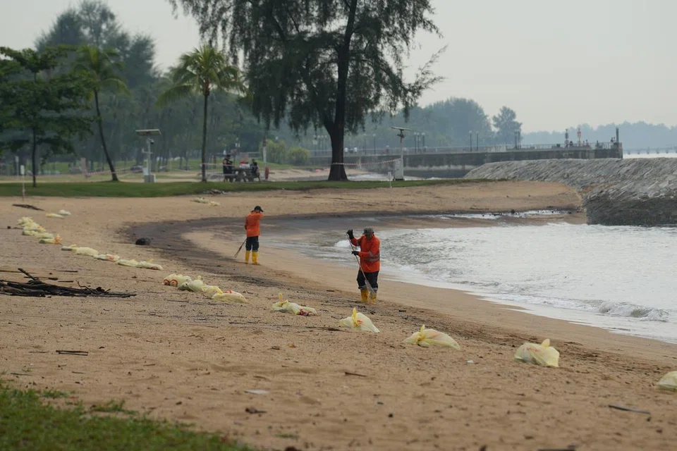 Beberapa pekerja dilihat menggemburkan tanah dalam usaha membersihkan pantai pada 16 Jun di pantai East Coast Park menyusuli kes tumpahan minyak.
