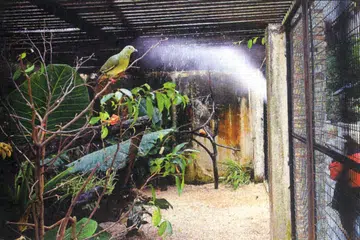 DIJANGKA LEBIH MENARIK: Para pengunjung Zoo Johor boleh menjangkakan kemudahan lebih baik apabila kerja menarik taraf selesai hujung tahun ini. 