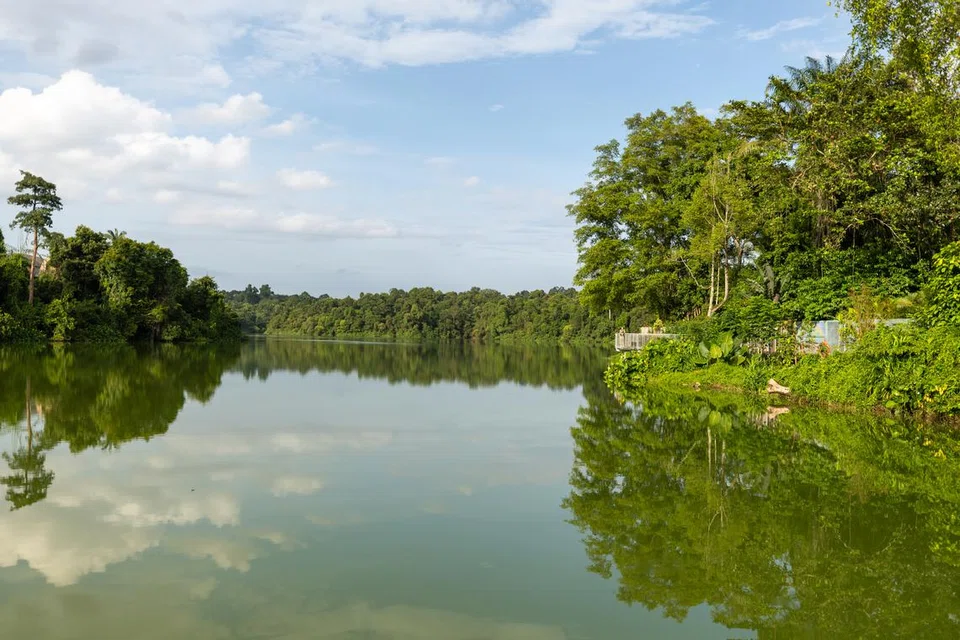 Mandai Boardwalk boleh diakses secara percuma oleh orang awam. Kemudahan itu menawarkan pemandangan menarik Kolam Air Upper Seletar dan Hutan Simpanan Tadahan Air Bahagian Tengah.
