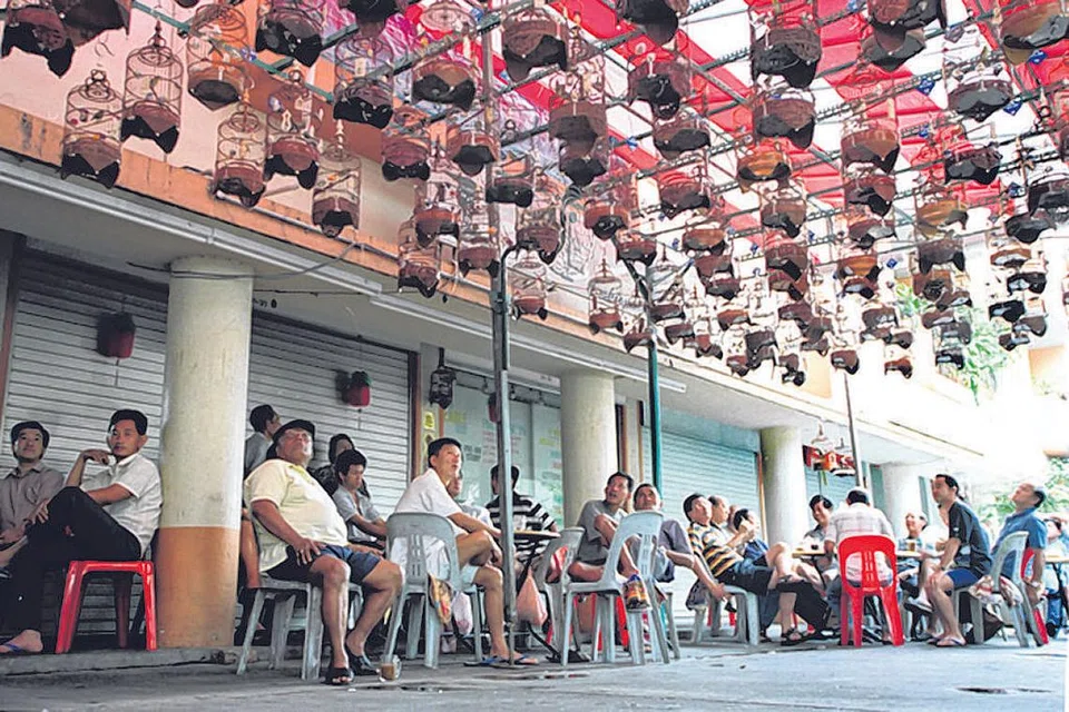PENCINTA BURUNG: Pemilik kedai kopi, Wah Heng, memasang struktur logam yang sekali gus menarik peminat burung yang datang membawa sangkar burung mereka sambil duduk berbual dan minum kopi. Ia terletak di persimpangan Seng Poh Road dan Tiong Bahru Road. 