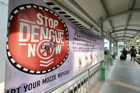 denggi, singapura, nea, kes 