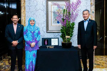 BUNGA ISTIMEWA: Menteri Luar Negeri Dr Vivian Balakrishnan (kanan) menyaksikan penamaan kacukan orkid baharu, Dendrobium Hassanal Saleha, yang dinamakan sempena Sultan Haji Hassanal Bolkiah dan Raja Isteri Pengiran Anak Hajah Saleha, hari ini (26 Ogos). - Foto 
