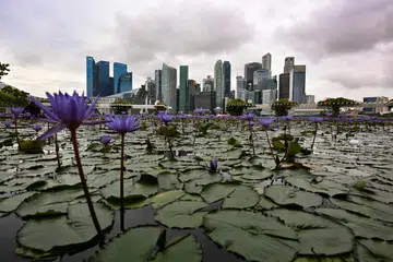 Ekonomi Singapura berkembang sebanyak 0.1 peratus pada suku pertama 2024.