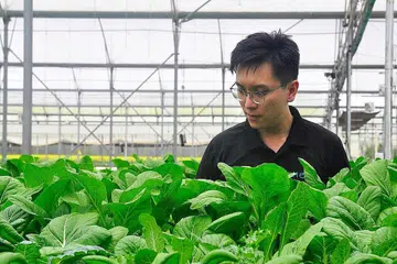 MASA DEPAN CERAH: Pengarah urusan syarikat Meod, Encik Ong Kai Hian, mengalu-alukan usaha pemerintah untuk mengembangkan lagi industri pertanian di Singapura menerusi matlamat '30 menjelang 30' negara. - Foto MEOD