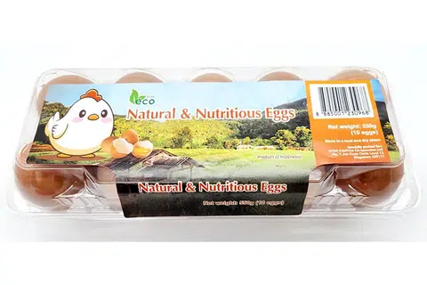 PELBAGAIKAN SUMBER: Satu pek 'Eco Farm Fresh Eggs' dari Indonesia berharga $3.40 berisi 10 biji telur boleh didapati di 64 pasar raya FairPrice, FairPrice Finest dan pasar raya besar FairPrice Xtra mulai Sabtu di seluruh negara. - Foto NTUC FAIRPRICE CO-OPERATIVE LTD
