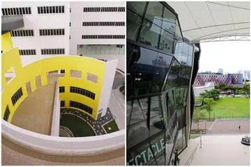 Kedua-dua kolej menawarkan diploma dan ijazah dalam pelbagai bentuk seni Asia dan Barat.